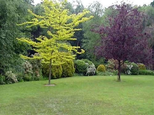 Linchens Bed And Breakfast Felbridge Extérieur photo